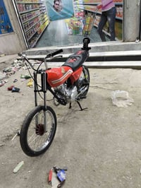 دراجة • معمرة • بدون أوراق