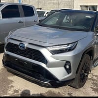 راف فور هايبرد • ٢٠٢٣ • وارد امريكي