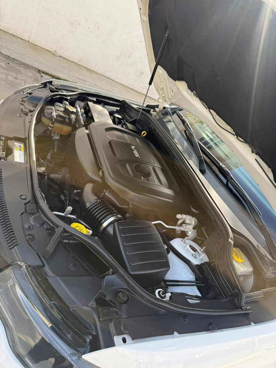 السلام عليكم
جيب شيروكي 2017 امريكي كلين تايتل لمتدد
مكفوله من صبغ وتعديل ورصعات وحالوب الحمد لله
ماشيه :  75 الف ميل 
مواصفات لمتدد 
بصمه تشغيل وبصمه ابواب
تشغيل عن بعد 
صندوك كهرباء 
شاشه جبيره 
كشنات جلد 
كشن تبريد وتدفئه امامي خلفي 
كشن خزن 3 وضعيات
كشنات سايق وسكن اوتماتيك 
بانوراما 
ستيرن تدفئه 
تخشيبه صاج 
تحكمات استيرن وتثبيت سرعه
شفتات كير بالستيرن
ستيرن وضعيات كهرباء 
بلاجكتور 
ليد امامي وداخلي 
حساسات 
كاميرا 
رادار 
كامله ماشاء الله 
سنويه 2030
هزه شهر 10 
تحويل مباشر 
رقم الماني جديد
السياره موجوده بكركوك
السعر 258  وبي مجال وتدلل 
الفحص مرفق مع الصور


**إذا كنت صاحب هذا الإعلان وتريد حذفه لأي سبب، رجاءا أرسل رسالة إلى الدعم الفني**