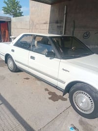 ارتوب • مكفولة • بابل