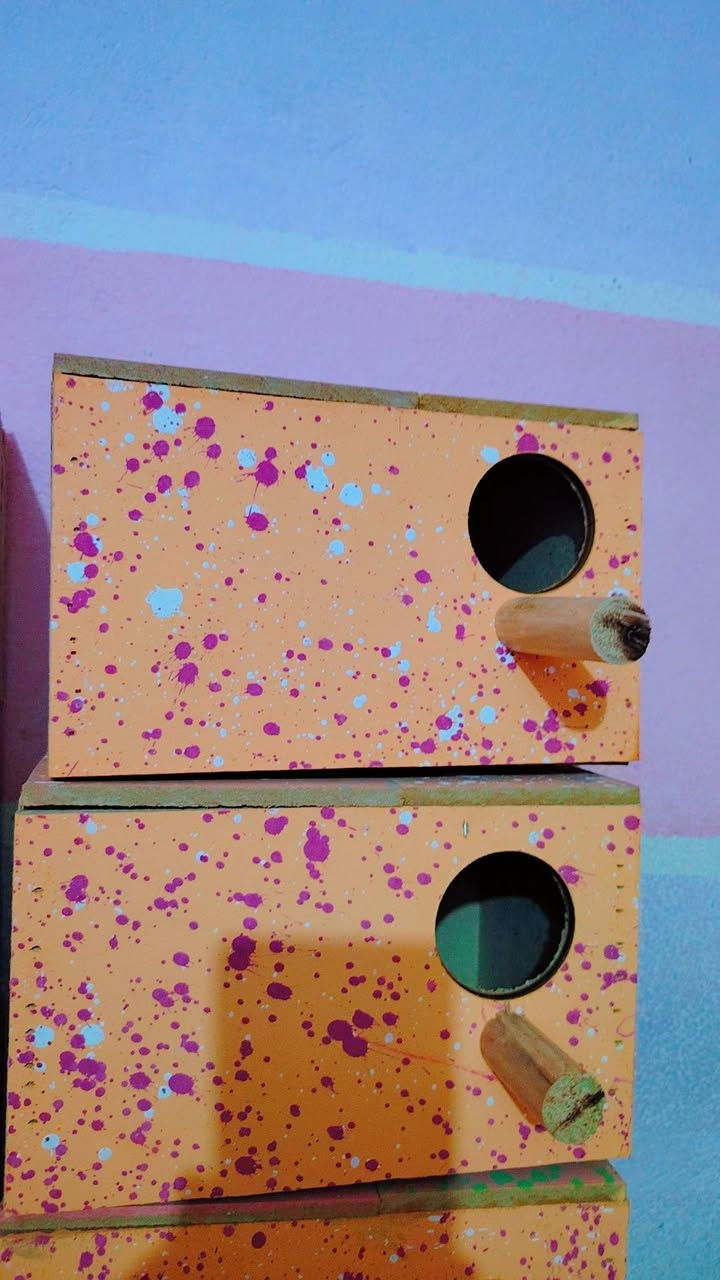 بيوت🏡طيور الحب🦜او جاوه او فنجس🦚سعر البيت🏡الفين ونص💸مكاني واسط قضاءالحي وره مستشئ فيروز🏥خاص او تصال ***********
