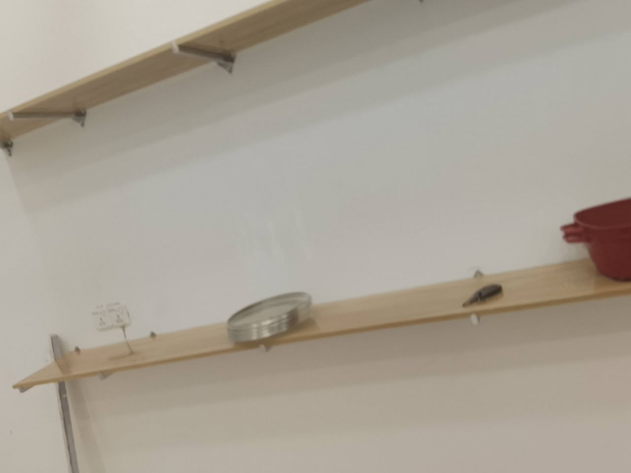 رفوف تعليك خشب 8قطع كل قطعه طولهه مرتين وعشرين  كلفني 300
أريدهن ب200


**إذا كنت صاحب هذا الإعلان وتريد حذفه لأي سبب، رجاءا أرسل رسالة إلى الدعم الفني**