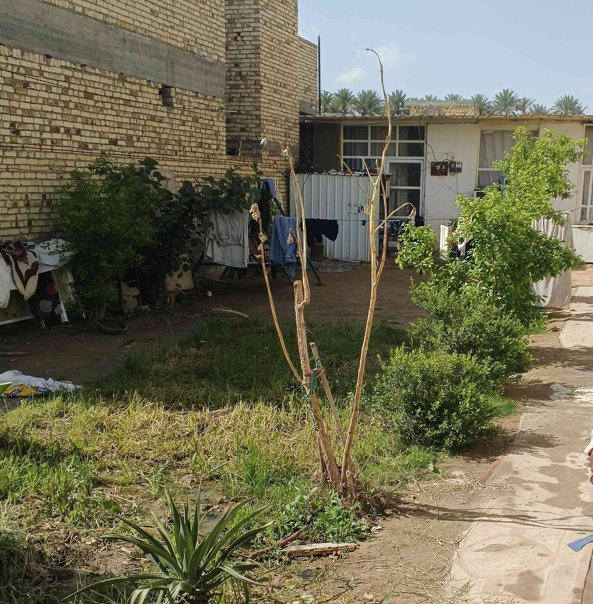 للبيع قطعة أرض سكنية مساحة 206م واجهة 9م وشارع 7م سند زراعي 25 ومشيد عليها بناء غرفتين فقط سقف سندويج ومجمع صحيات خارجية ضمن منطقة سكنية متكامله وخدمات متوفرة وتبعد عن الشارع العام 60م تقريبأ ،
السعر/ 35
الحله وردية الجزائر طريق البو عليان.
*********** خاص واتس متوفر.
