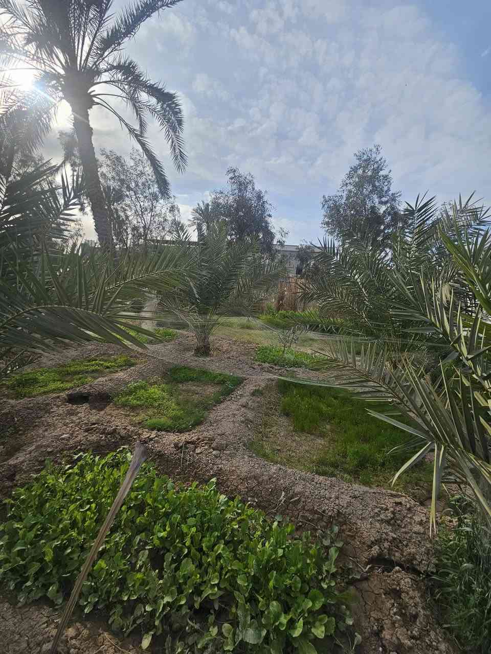 🏡 دونمين للبيع – فرصة مميزة للاستثمار والسكن
📍 الموقع: البصرة / أبي الخصيب – شارع المحكمة الجديده 
قريب على الشارع العام (السايدين)
📐 المساحة: دونمين كاملين
📜 النوع: طابو ملك صرف – تحويل مباشر باسم المشتري
🏠 تفاصيل العقار:
• يحتوي على دار بمساحة 300 متر
• بناء طابوك 
• الأرض مخدومة بالكامل
🌊 مميزات إضافية:
• محاطة بنهر من جميع الجهات (موقع مميز وهادئ)
• مناسبة للسكن أو مشروع استثماري (شاليه / استراحة  للاستفسار الاتصال على الرقم 
*********** البصرة, العراق
