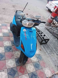 فراشة • نجف • مجال