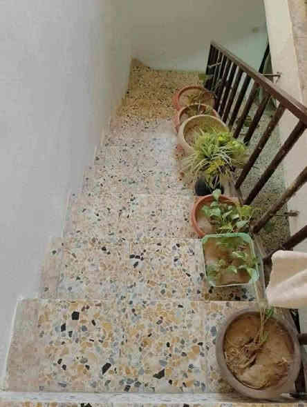 #دار_للبيع بالاقساط 🔰
في حي الصديق الثانية (ملك صرف سند طابو الزهور)

قريب ع جامع الطيار 

مؤجر حاليا ب 400 الف 🔑✔️

المساحة: 100 متر  

 الواجهة 5 متر 

العمق 20 متر   

الاتجاه: شروق

 طابق ونص

الطابق الأرضي:

 گراج + مطبخ مع هول داخلي + استقبال + غرفة نوم + صحيات 

الطابق الثاني : غرفه وصحيات وهول

سنة البناء :- 2014

شارع تبليط وليس صبه ✅

السعر 130 مليون وبي مجال

مقدمه 80 مليون 

الباقي اقساط شهريه بالشهر 500 الف

السعر التواصل خاص او الاتصال ع احد الارقام التالية:-
***********
***********
