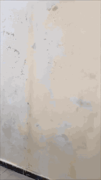 انتاج من شغلي صباغ داخل وخارج وطلس عام  وجميع الديكورات ومعالجة رطوبه وعازل اسطح وكافة انواع صبغ عملي فقط بغداد ***********
