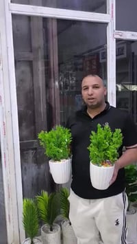 الناصرية • ديكور بيت