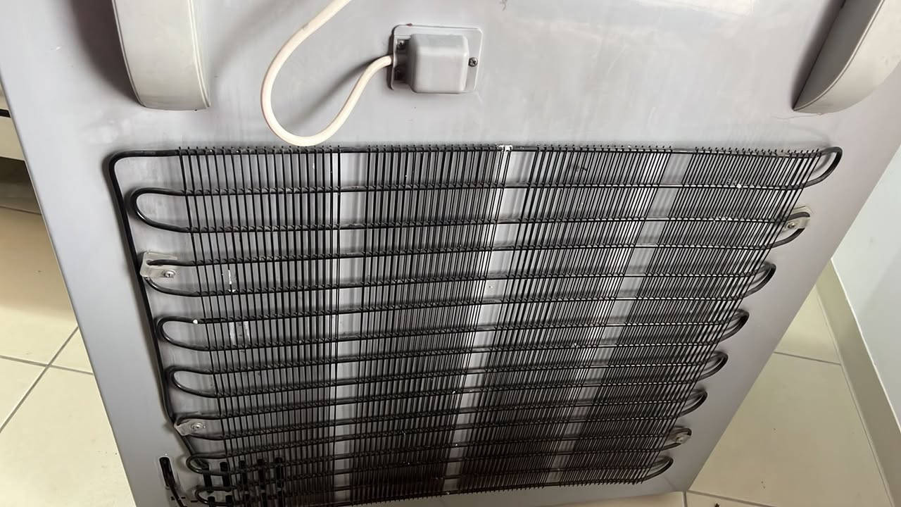 السلام عليكم مجمده للبيع الحجم وسط السعر ١٠٠


**إذا كنت صاحب هذا الإعلان وتريد حذفه لأي سبب، رجاءا أرسل رسالة إلى الدعم الفني**