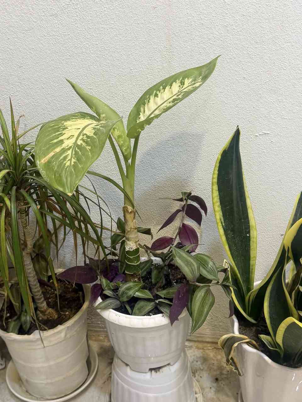 اغراض لبيع


**إذا كنت صاحب هذا الإعلان وتريد حذفه لأي سبب، رجاءا أرسل رسالة إلى الدعم الفني**