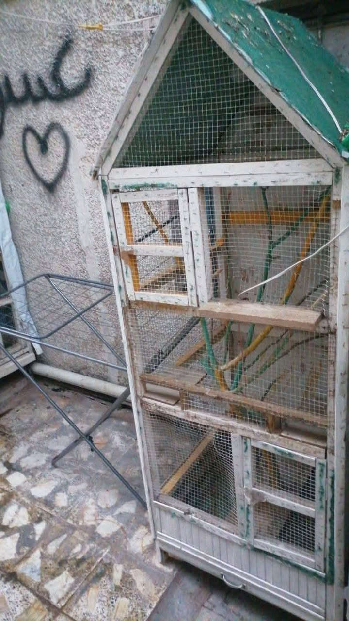 السلام وعليكم حبايب عندي ذني 3اقفاص او وياهن 3خانات اكبار كلهن اب 100 الف رايدهن الي يريدهن عندي خاص او هذا رقمي بي بس واتساب ***********
