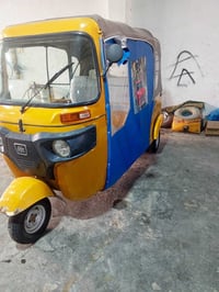 تكتك موديل٢١ • كربلا • معمرة سنوية