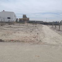 ٢٥٠م • طابو زراعي • واجهة ١٢م