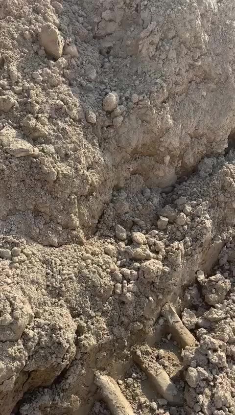 نجهز  نحفر   ندفن  تجهيز الحدائق برمل - زميج-ورفع التراب القديم 
تجهيز حقدائق  برمل الشاطئ الزميج وحفر الطبقه السبيس ونخلي الزميج الحله شرط الزميج زميج الكوفه انسب السعار  العمل مشنو كله واضح كدام عينك  طين زراعي شرط حلو ونضيف 
***********
