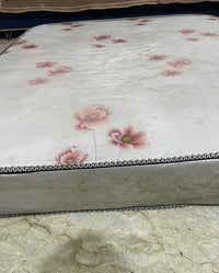 دوشك طبي • نفرين • جديدة