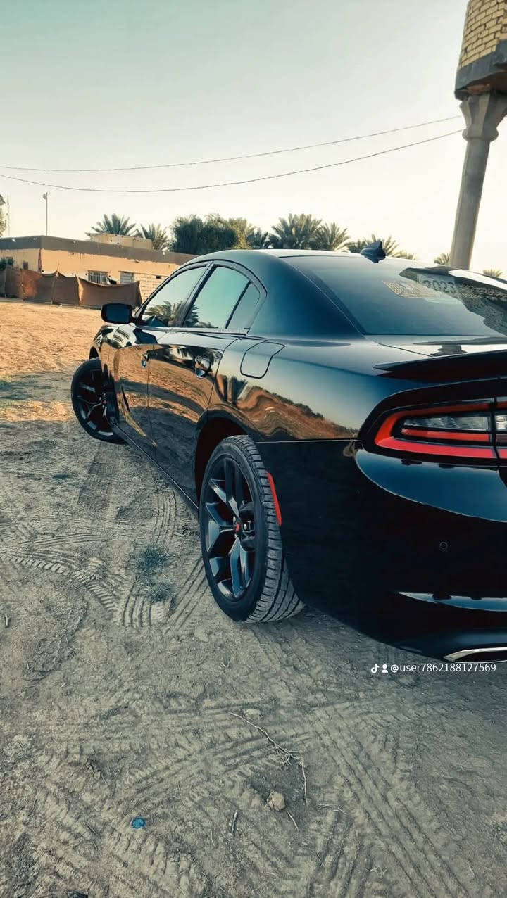 سلام عليكم دوج جارجر موديل 23,اصل منفيس بسمي ماشيه 30 مكفوله من دعاميه الدعاميه من قطر صبوغ بيه بس بنيد مبدل بلادي شرط محرك 3600  سنكل  ماتعد فلوس اله ماسوي سونار مكاني بابل حمزه الغربي وشراي يدلال ***********
