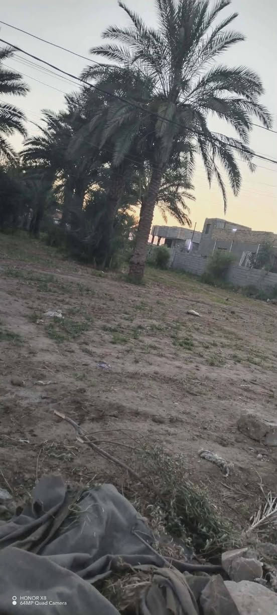 مكلفه بالنشر 
قطعه ارض للبيع حي جواد مساحته 700متر للاستفسار اتصل عل رقم 
***********
