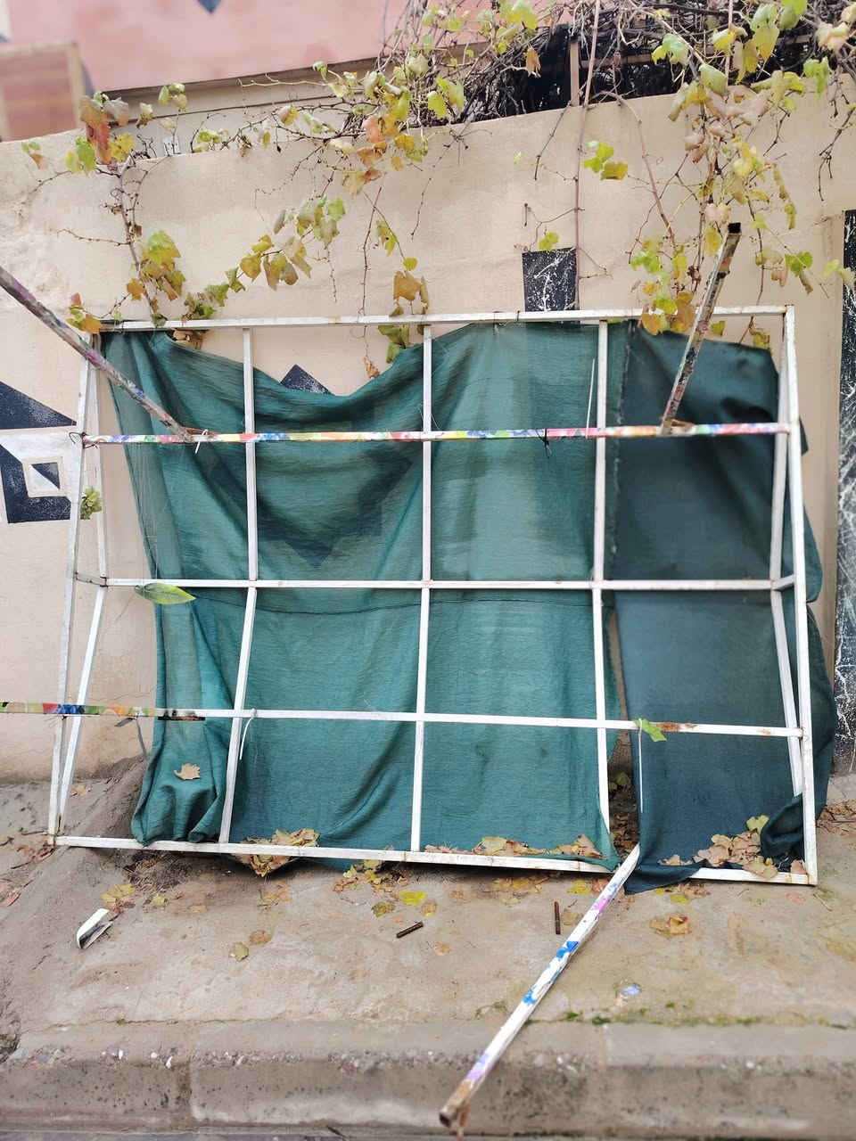 عربانه  مال حمص وباقلي تاخذت جدرين حديد مو خشب
مع قمريه سعر 150 وبيه مجال  مكاني حي الانتصار *********** توصل وتساب بس
