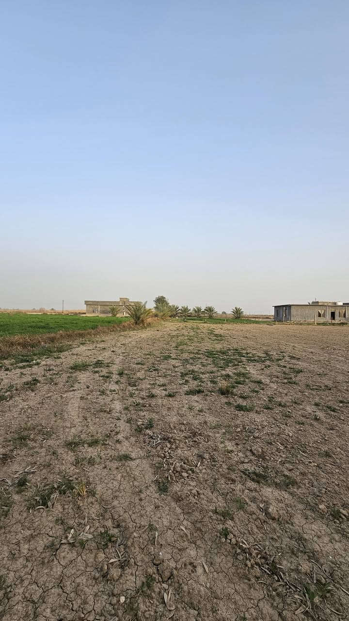 السلام عليكم :
ارض زراعيه للبيع  3ونص دونم على عقد نظام 35  تحتوي على منزلين ومجموعه من النخيل واشجار الفاكهه وفيها حقل عجول وحقل دواجن صغير
للتواصل. ***********
***********
متواجد على الفيس بوك وواتساب.
🌹 🌹 🌹 🌹 🌹 🌹 🌹
