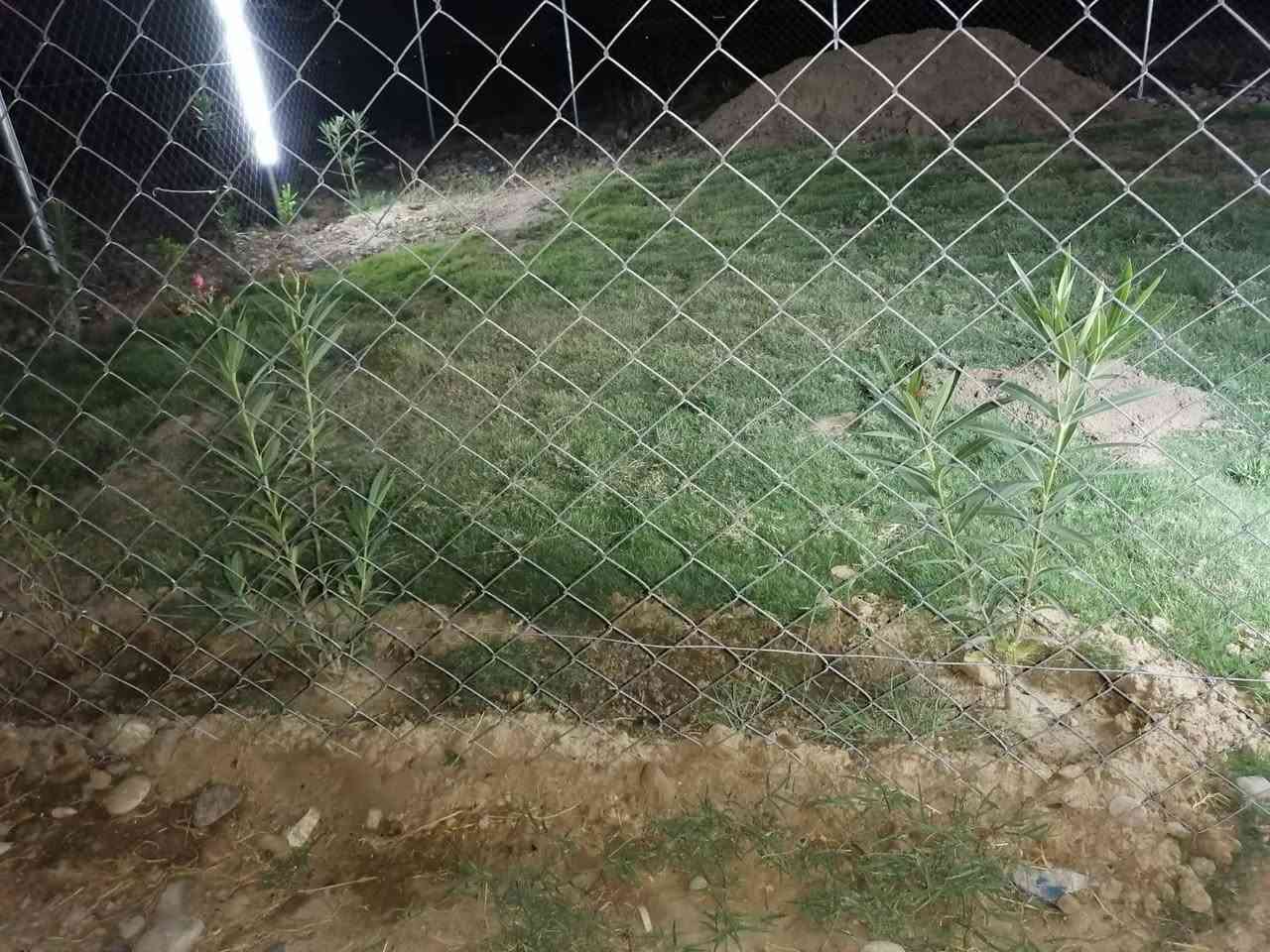 اقرى تفاصيل كاملة. 
متاح سياج BRC حديد مشبك. 80متر. الارتفاع 180
مع 14بوري  سعر الكلي. 200 الف  مع ملحقاته والأسلاك  بي مجال بسيط الصور مرفقة بل منشور
العنوان /موصل الايمن شراي يتفضل خاص 
#ملاحظة_بيع_سياج_كامل_بل_دررجة_مابيع


**إذا كنت صاحب هذا الإعلان وتريد حذفه لأي سبب، رجاءا أرسل رسالة إلى الدعم الفني**