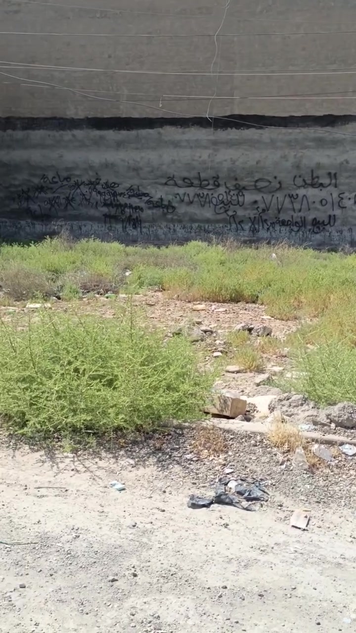 سلام عليكم ورحمه الله وبركاته قطعة أرض للبيع في البتول قرب ثانوية صدى المعرفة المساحة ١٥٠ م بطن الركن الواجهه ١٢.٥ نزال ١٢ القطعة باسمي مدفوعة مجاري وتبليط على شارع 20  للاستفسار الاتصال على الرقم ‏‪***********‬‏
