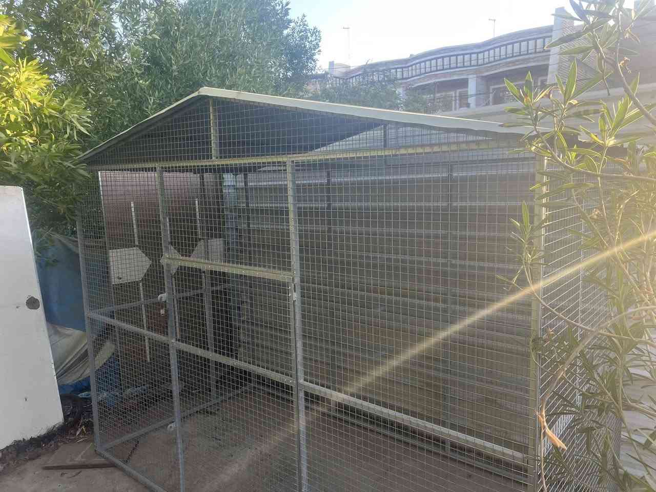 قفص للطيور ترهم محمية للطيور حجم كبير حديد ابعادها ٣ متر طول عرض متر ونص ارتفاع مترين ونص جمالي كلش نضيف السعر ٤٠٠ الف اذا مهتم عل خاص وتدلل


**إذا كنت صاحب هذا الإعلان وتريد حذفه لأي سبب، رجاءا أرسل رسالة إلى الدعم الفني**