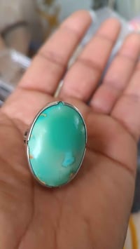 نيشابوري • تفاحي • الشطرة ذي قار