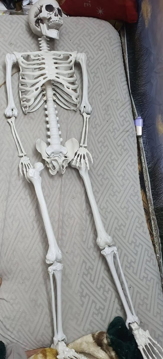 السلام عليكم
هيكل عظمي سعر 70


**إذا كنت صاحب هذا الإعلان وتريد حذفه لأي سبب، رجاءا أرسل رسالة إلى الدعم الفني**