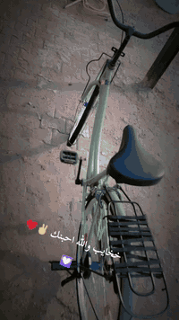 باسكل زيتوني • موديل ٢٠٢٢ • حجم ٢٦