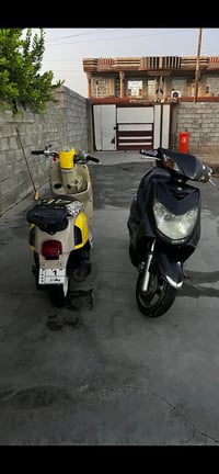 سكنس  فحل نوزل خطين كلجات رياضي امامي وخلفي نقصها بس ترايش فقط $600 مس...