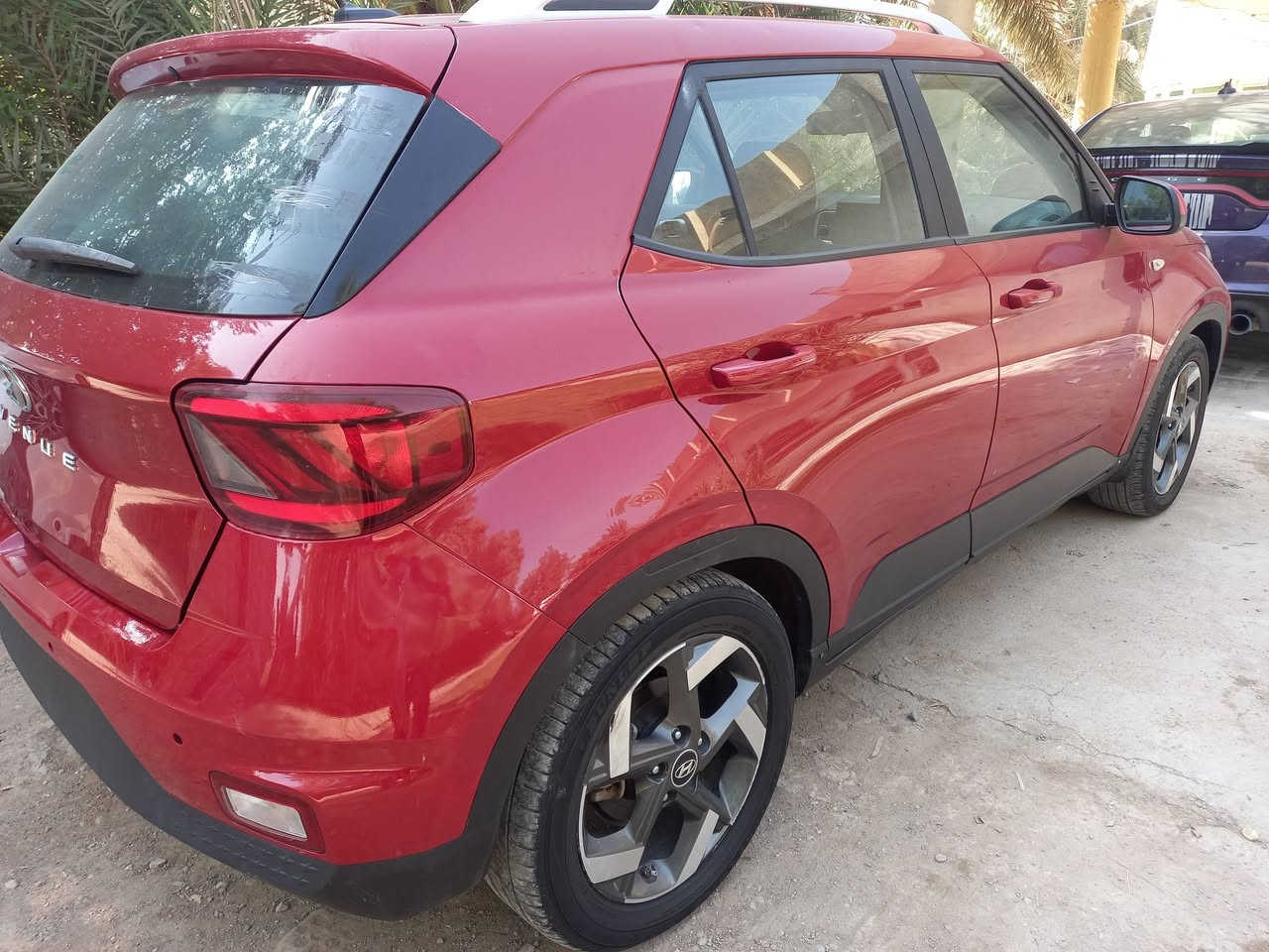 فينو مديل ٢٣ فول بيه ٥قطع صبغ
محرك كير تبريد كله بلاد على شركه   تترقم اي محافظه
تحويل ثاني يوم  ماشيه ٢٦  محرك ١٦٠٠   ٨ نوزل
مكاني كوت سعر ١١٠ 
***********
