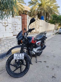 بوكسر • ٢٠٢٣ • جبلي