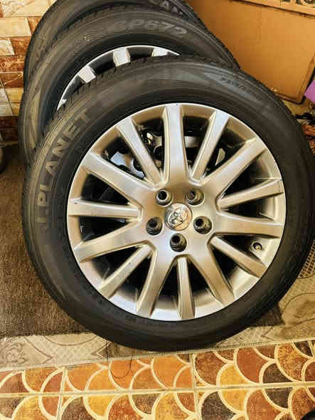 تخم ويل ماجستا حجم 17 نضافه مثل ماموضح بصور + تخم تاير كوري نتاج 24   *********** مكاني  ديوانية
