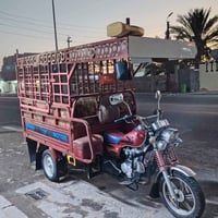 ستوته • مكمركه • أوراق كامله