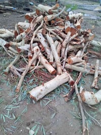 خشب للبيع • ديكور منزلي