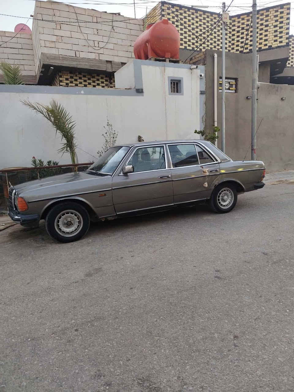 مارسيدس ابو جحيل موديل 1983
قطعه نادرة تريد ترتيب وجناي جاهزه مابيهه كل نقص فقط صبغ مرتب

رقم مثنى مشروع وطني

مكانهه نجف السعر 37 وبيها مجال بسيط *********** رقم راعيها
