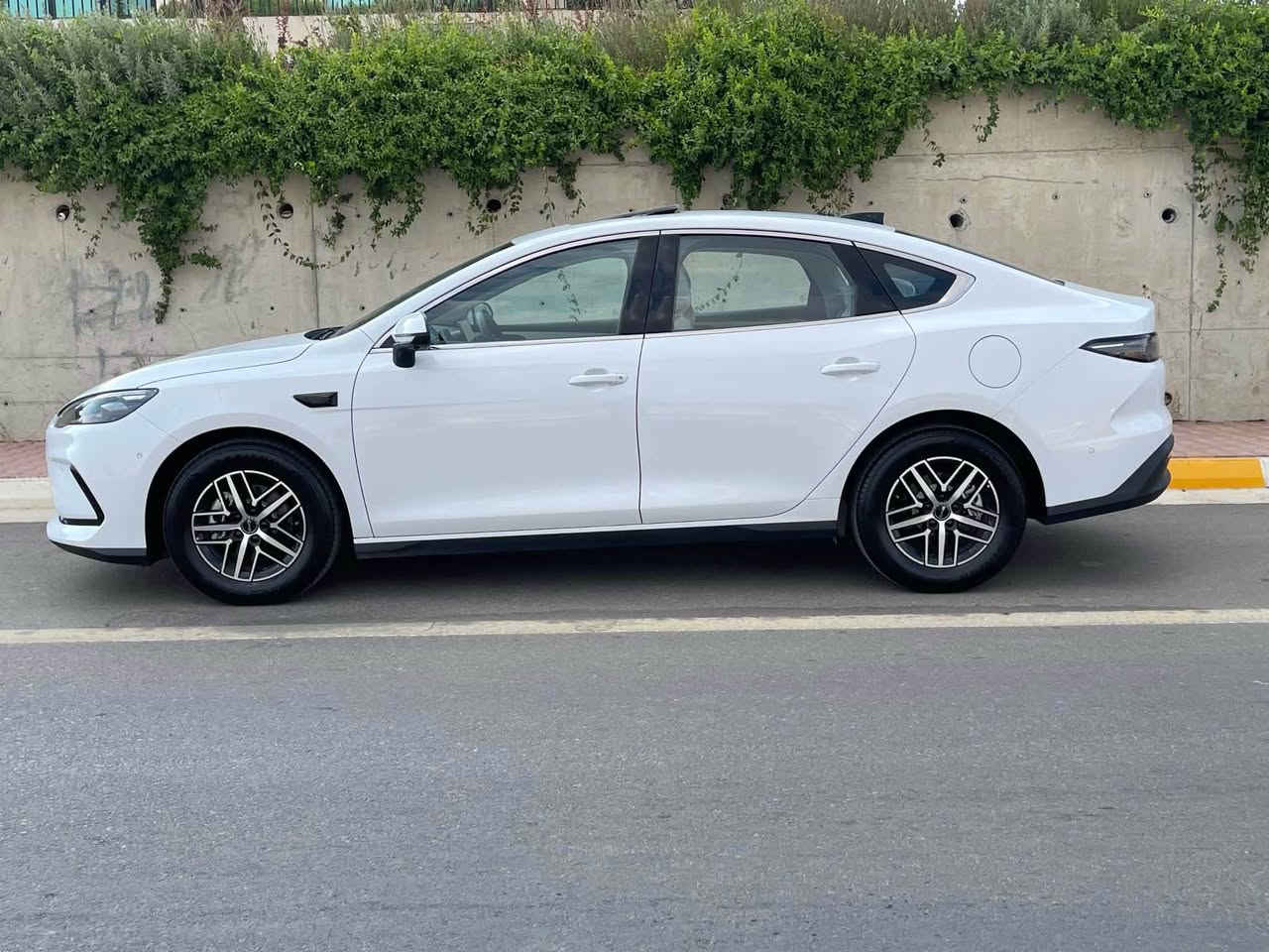 بی وای دی سیل 05 فول مواسفات
سەیارەکە وەک سفرە هیچی نیە 
هەموو شتێکی بەشەرت
فول مواسەفاتە ناوزەرد
چواردە کامێرا رادار حساس 
ژمارە کاتیە 
بۆ نرخ و زانیاری زیاتر پەیوەندی بکە 
*********** السليمانية, العراق
