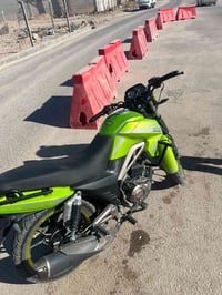 شاينك • ٢٥٠سيسي • اوراق كامله