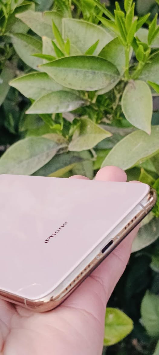 ايفون اكس ماكس ع البلاد
ذاكرة 256 بطاريه 76 

الجهاز كله شرط بس فيس ايدي متوقف وهذا الفطر الخفيف ب الضهر 

الباقي كله مكفول 

سعر 165 وبي مجال 

***********
