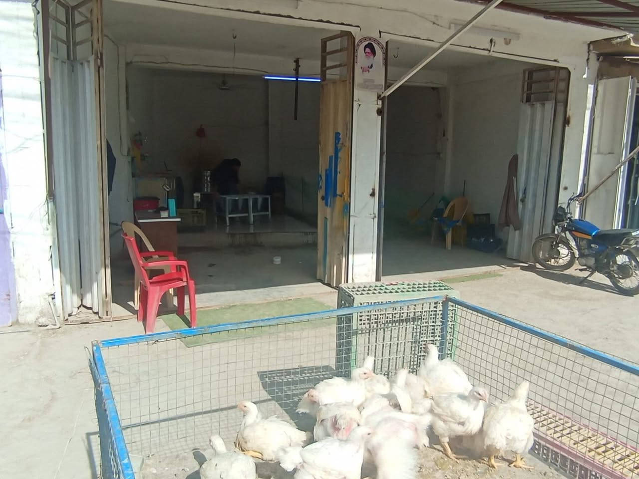 سلام عليكم محل دجاج للبيع 
العنوان البوبيات قرب اسواق برتقاله عامود 62 
سبب البيع عدم التفرغ 
الاستفسار  الاتصال ***********
مكلف بل نشر اتصل
