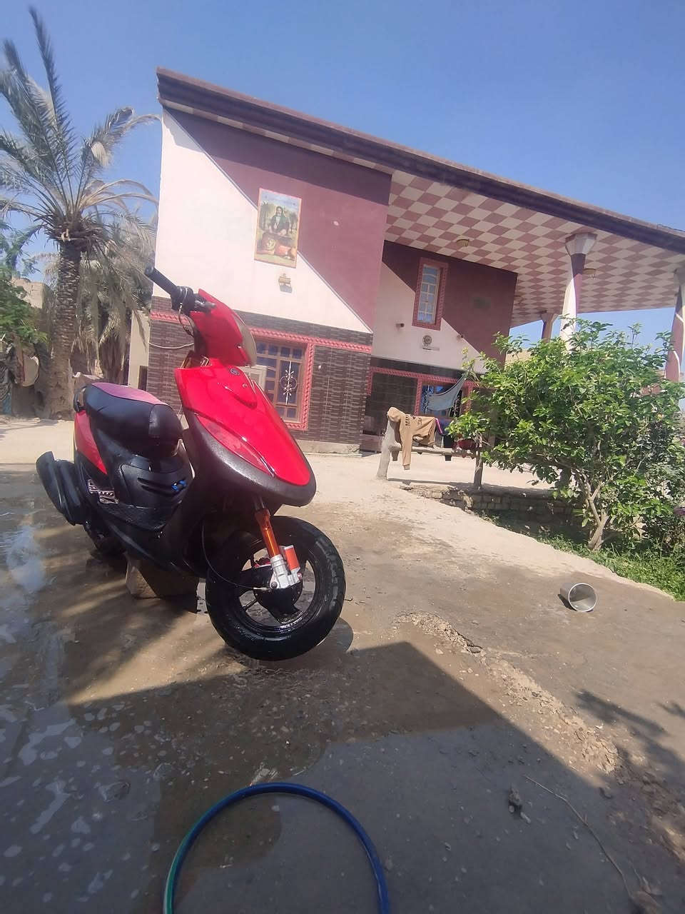 مراوس ماكس بوليس بوشه 55


**إذا كنت صاحب هذا الإعلان وتريد حذفه لأي سبب، رجاءا أرسل رسالة إلى الدعم الفني**