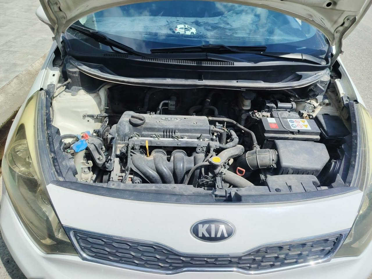 السلام عليكم 
كيا ريو 🚗 
وراد كوري 
موديل 2014
رقم أربيل دولي 👋 سنويه جديده 🙋 
شرط التحويل 🚦كابون بانزين ⛽ 
محرك 14محرك وكير شرط 👋 
طخم تاير طخم امامي خلفي جديد 👋 
📢 السياره بدون ظرر شرط وكدام 👀 
🛑#السعر 95$💸 وبيها مجال 
#العنوان #الموصل #موصل_الجديده قرب جامع الايقظه شارع البطاريات 
🛑 1️⃣ اوقات العمل🕰️الاتصال من الساعه التاسعه صباحا الى الساعه العاشره ليلا🛑
🛑2️⃣بلتلفون قفل ماكو تعال ودفع سعر اليعجبك 🛑
#مكتب_ارض_السلام #لبيع_وشراء_السيارات 
🛑 #باداره/ سلام الراشدي 
***********📱كورك 📞
***********📱اسيا📞
