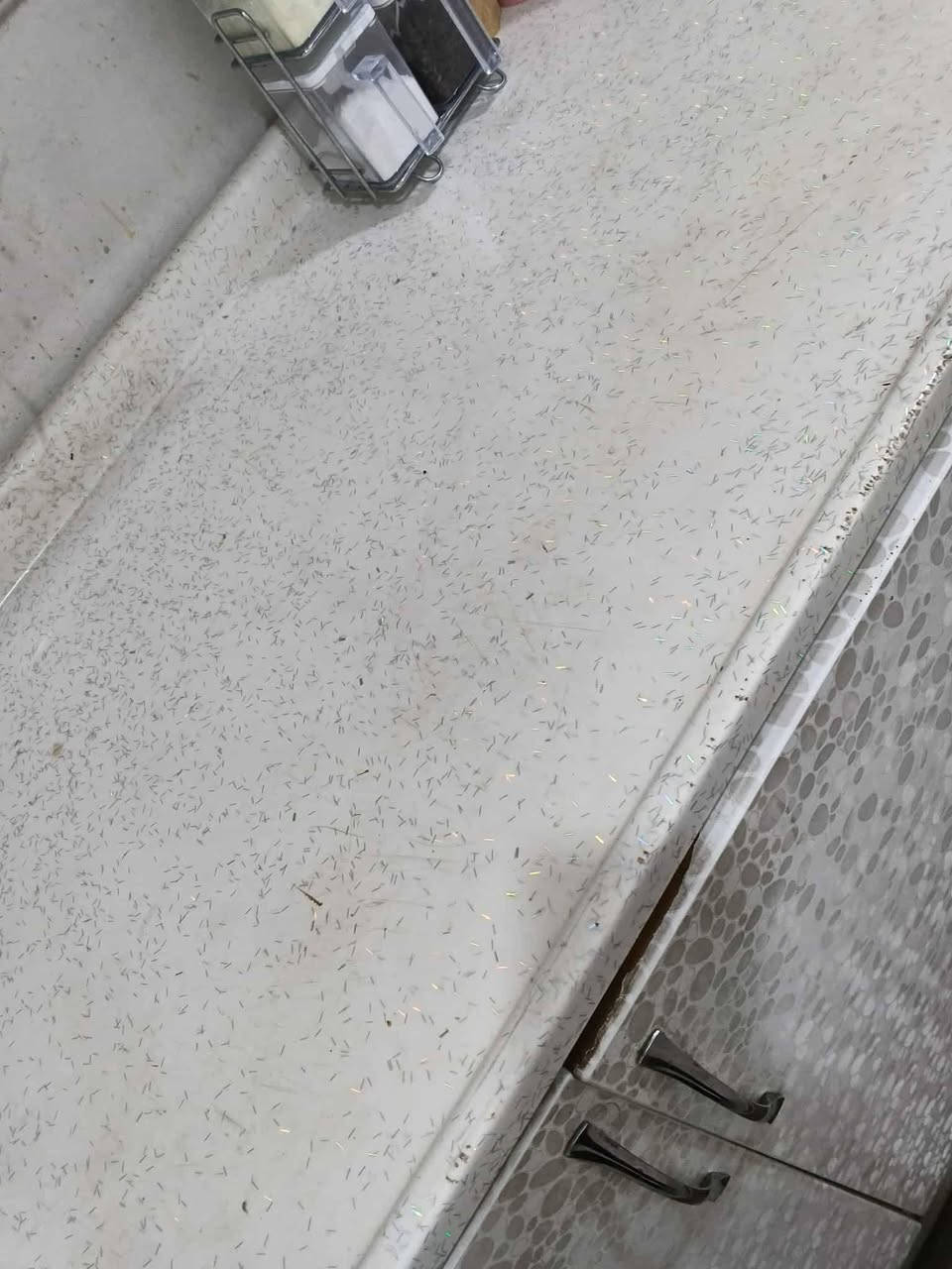 كاونتر المنيوم أبواب خشب سعره 150 مكانه الاسكان مقابل المعهد


**إذا كنت صاحب هذا الإعلان وتريد حذفه لأي سبب، رجاءا أرسل رسالة إلى الدعم الفني**