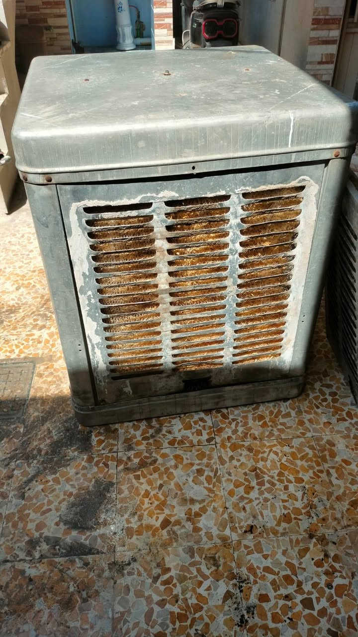 مبرده فافون قديمه شغاله ونضيفه 80الف


**إذا كنت صاحب هذا الإعلان وتريد حذفه لأي سبب، رجاءا أرسل رسالة إلى الدعم الفني**