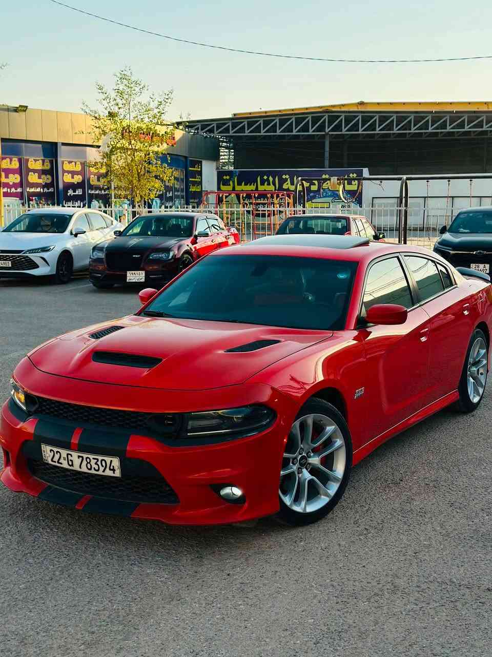 أنسب الاسعار قطعة مميزه🔥
جارجر 2020 سكات باك 

رقم اربيل جاهزه بدون نقص 

الحادث(تبديل وصبغ جاملغ امامي وبنيد وباب بدون شاصي ايرباك راجع سستم) موجود سونار

الموصفات(فتحة بصمة تشغيل عن بعد سوبر تراك باك شاشة جبيره مقاعد جلد حضن حساسات خلفيه كامره دواره وباقي الموصفات المعروفه

عداد المسافه 18 الف ميل 

نقد فقط لادين ولامراوس 

العنوان:النجف-المدينه المائية-معرض الحوت 

الشراي يتصل موجود وتساب واتصال 

*********** 

السعر:248 ورقه وبيه مجال بسيط
