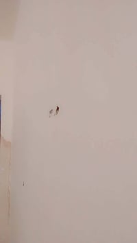 لباخ متفرغ حاليا لباخ لط جص سمنت بورك اتصل على هذه لارقام وبيك خير ودل...