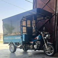 ستوته