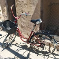 باسكل • مقاس ٢٧ • ياباني