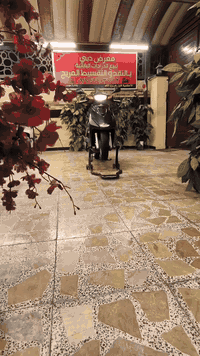 للبيع ( اكزز تريت) ( لون فيلي) ( ياباني) للاستفسار/07749903792/ حاوية ...