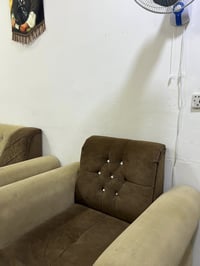 تخم قنفات • 5 قطع • البصره البهادريه